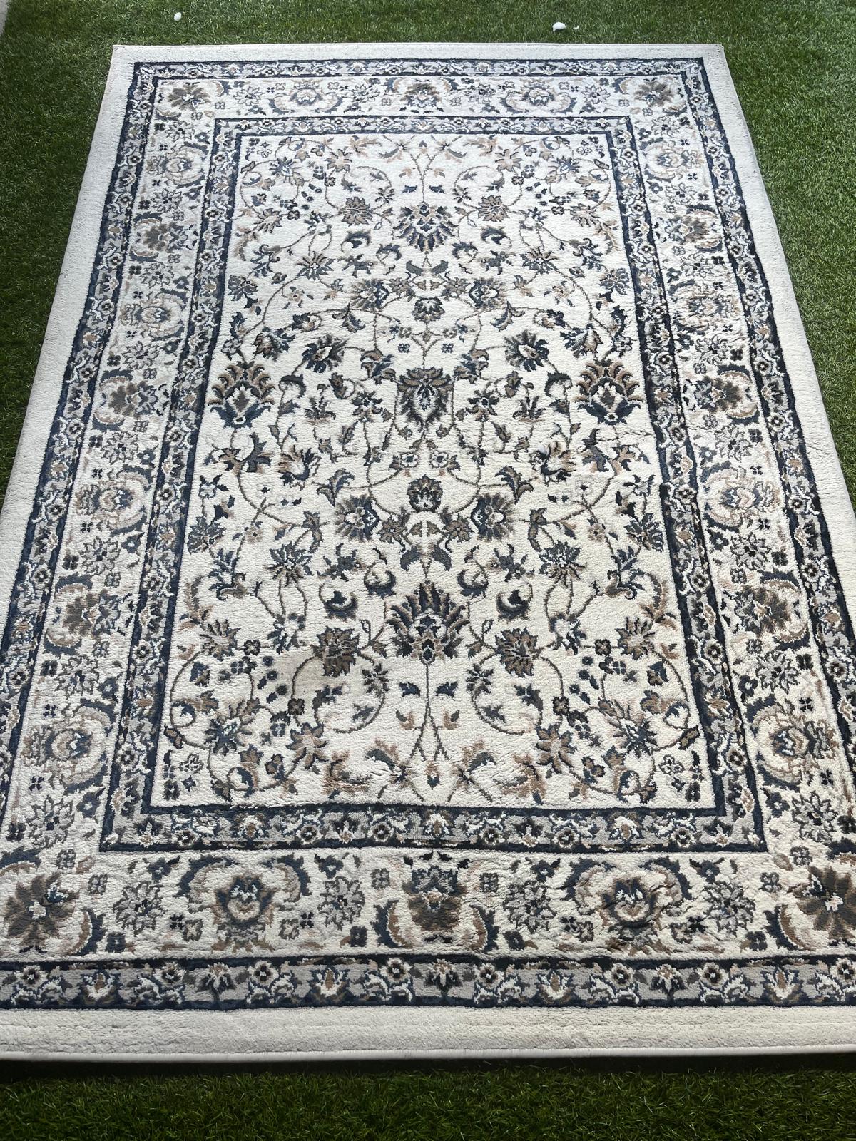 Profesional utilizando equipo de extracción y limpieza a vapor para el servicio de limpieza de alfombras y moquetas a domicilio en Donostia
